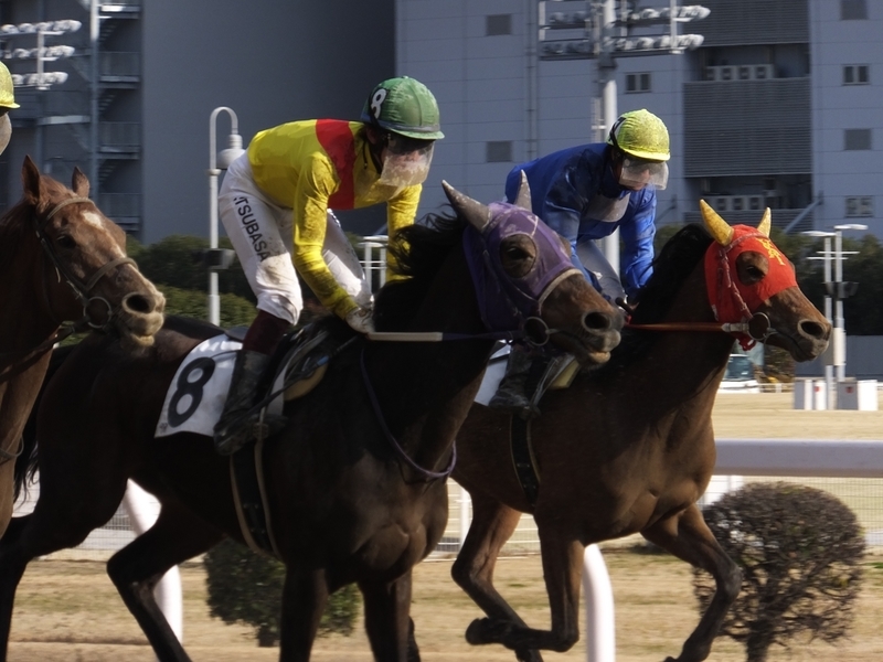 f:id:rockeyhy:20200304223423j:plain:w200