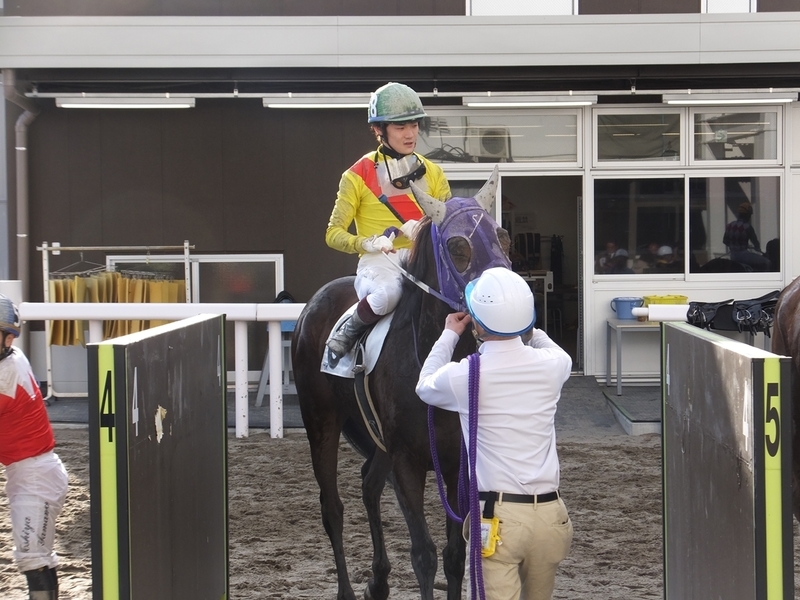 f:id:rockeyhy:20200304223428j:plain:w200