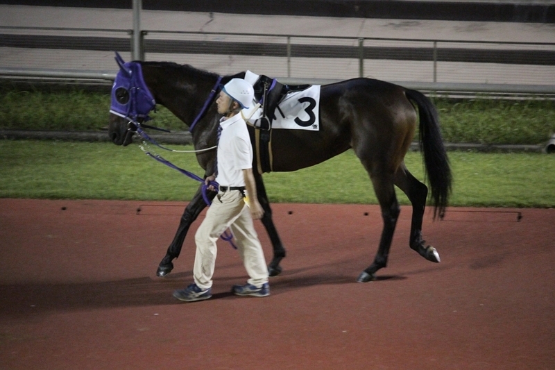 f:id:rockeyhy:20200901190927j:plain:w200