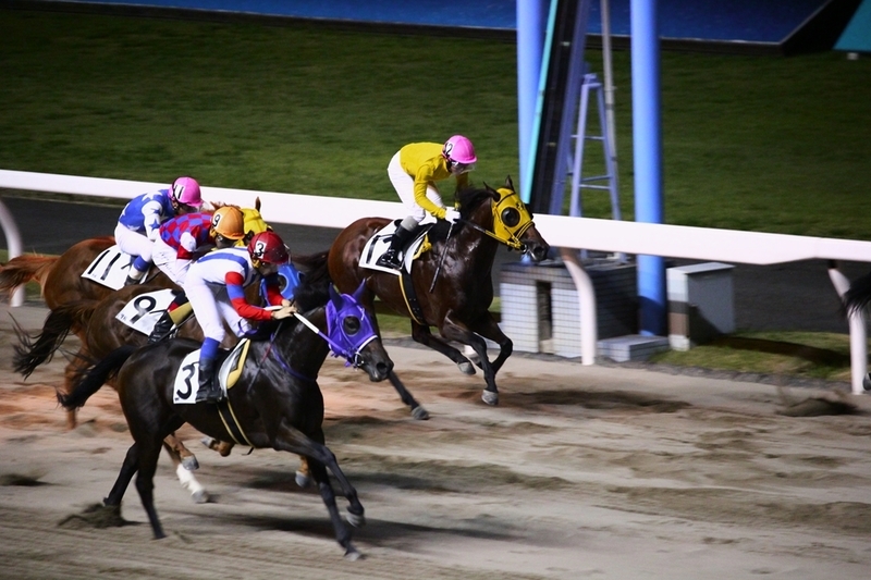 f:id:rockeyhy:20200901193515j:plain:w200