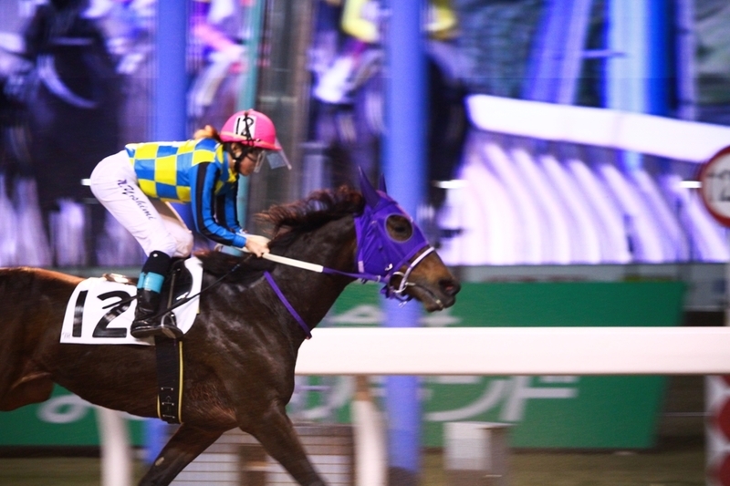 f:id:rockeyhy:20201111181530j:plain:w200