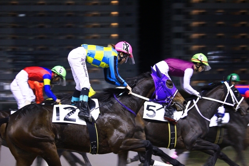 f:id:rockeyhy:20201111181649j:plain:w200