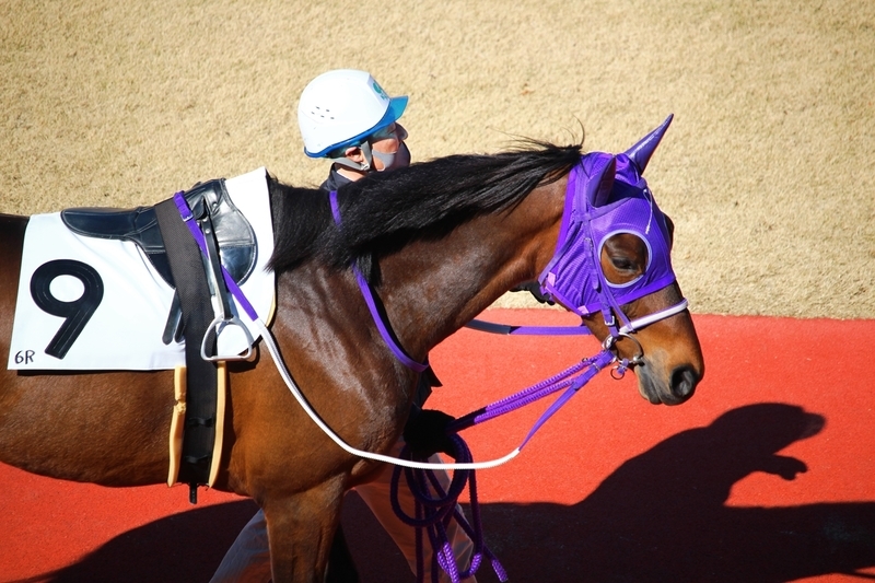 f:id:rockeyhy:20210303135820j:plain:w200