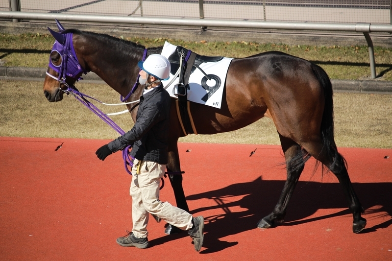 f:id:rockeyhy:20210303140338j:plain:w200