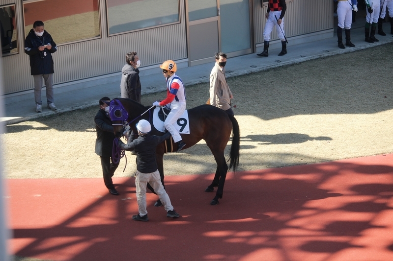 f:id:rockeyhy:20210303140650j:plain:w200