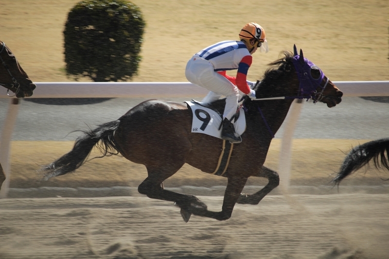 f:id:rockeyhy:20210303142146j:plain:w200