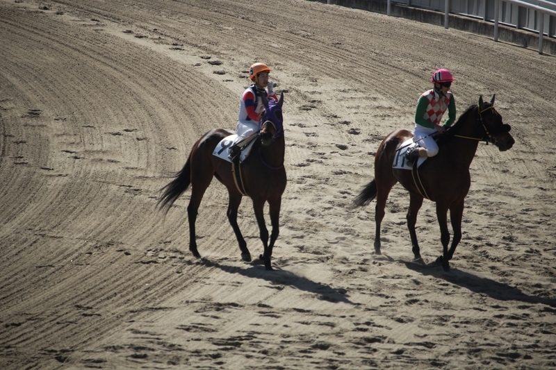 f:id:rockeyhy:20210303142423j:plain:w200