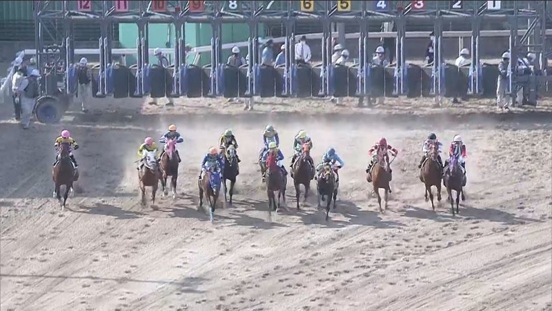 f:id:rockeyhy:20210510231826j:plain:w200