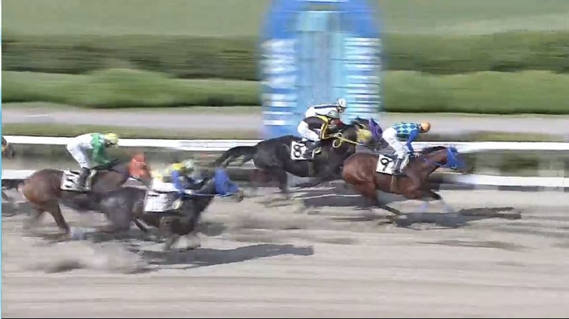 f:id:rockeyhy:20210510232639j:plain:w200