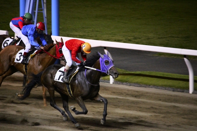 f:id:rockeyhy:20210615212537j:plain:w200