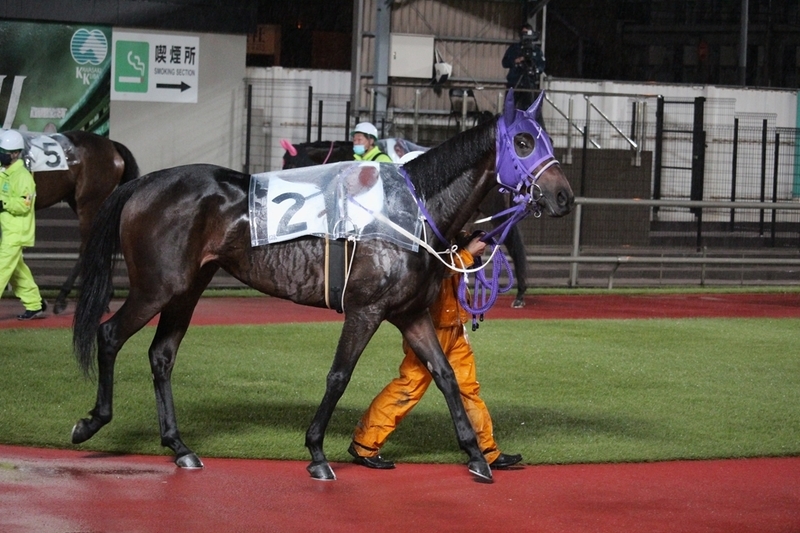 f:id:rockeyhy:20210914210433j:plain:w200