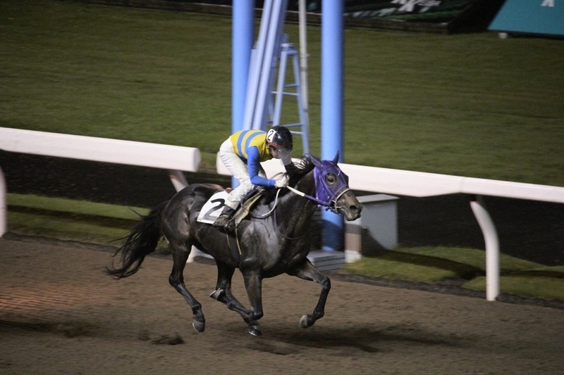 f:id:rockeyhy:20210914212623j:plain:w200