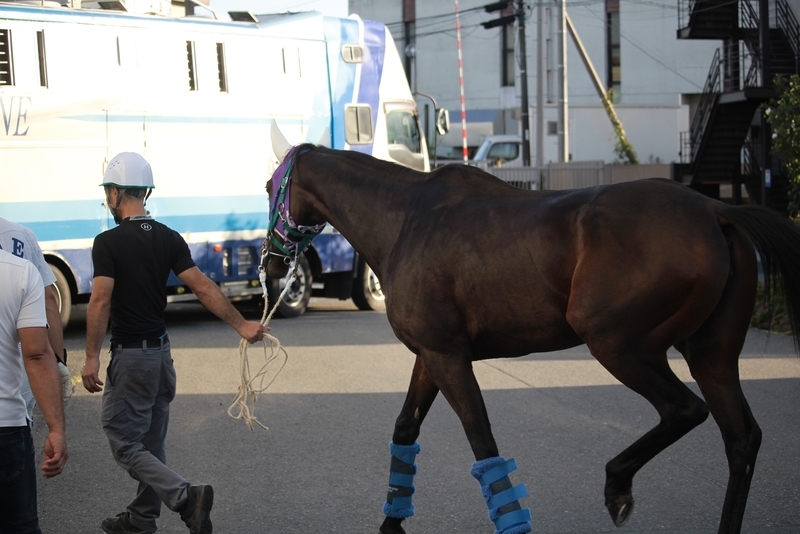 f:id:rockeyhy:20211002164129j:plain:w200