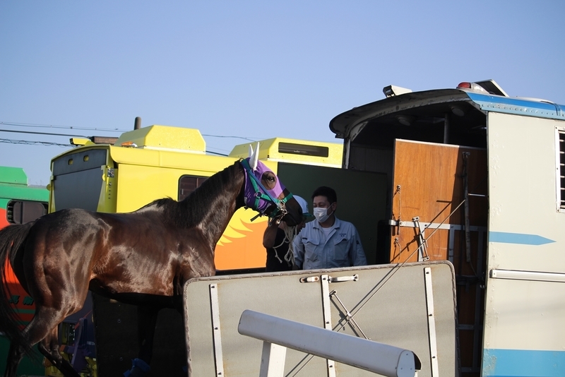 f:id:rockeyhy:20211002164136j:plain:w200