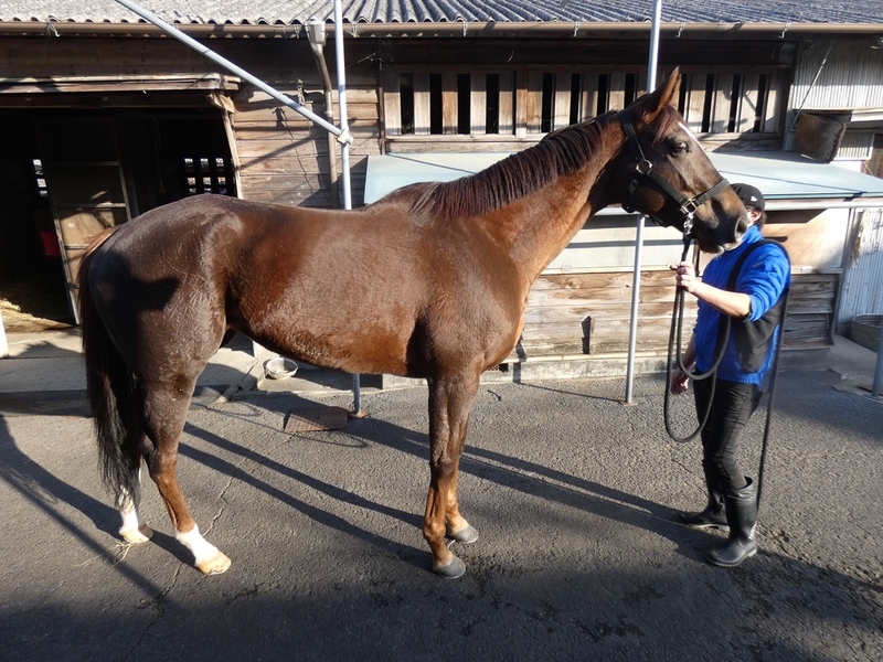 f:id:rockeyhy:20211114083231j:plain:w200