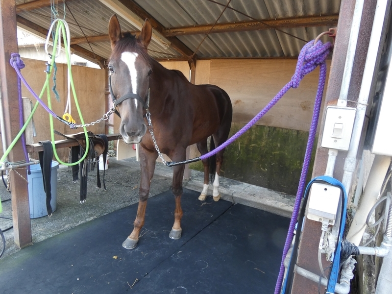 f:id:rockeyhy:20211114084014j:plain:w200