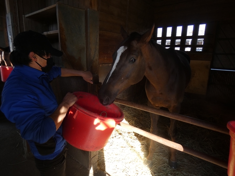 f:id:rockeyhy:20211114084556j:plain:w200