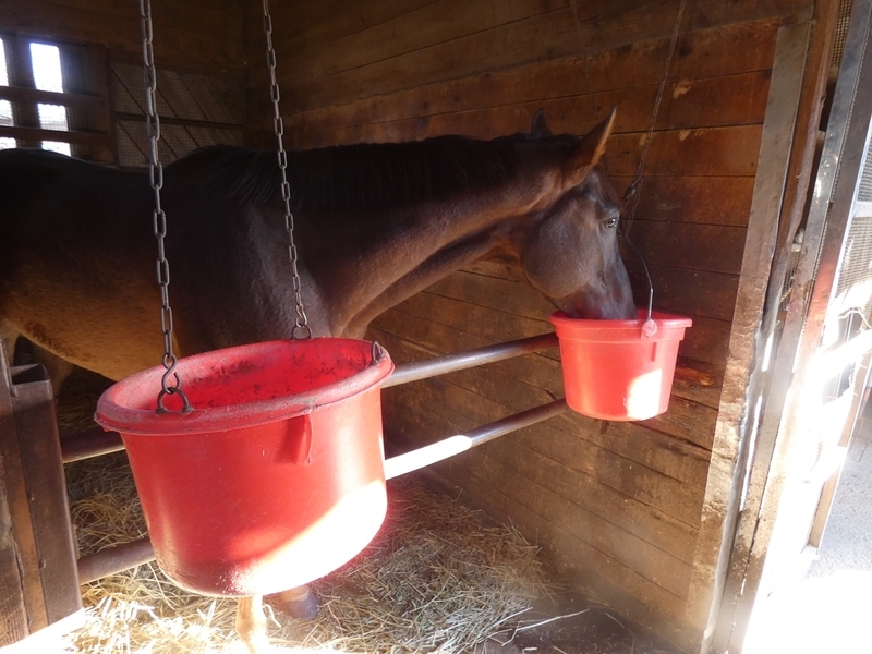 f:id:rockeyhy:20211114084851j:plain:w200