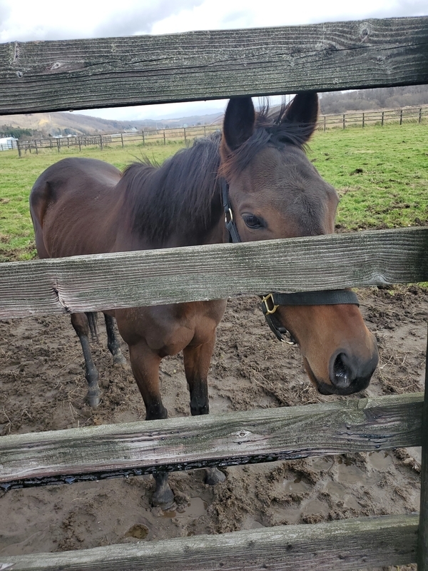 f:id:rockeyhy:20211120133419j:plain:w300