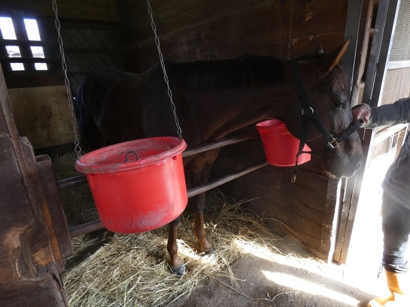 f:id:rockeyhy:20211121103228j:plain:w300