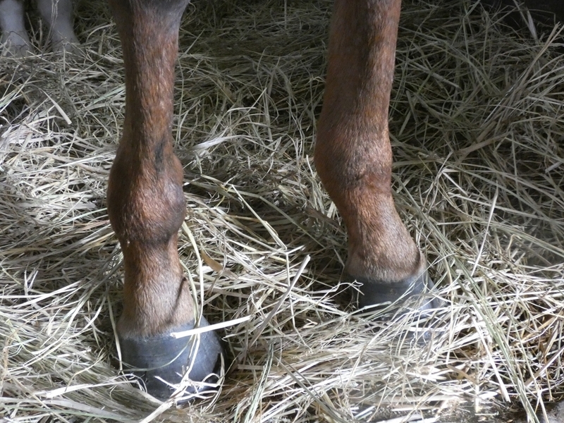 f:id:rockeyhy:20211121103530j:plain:w300