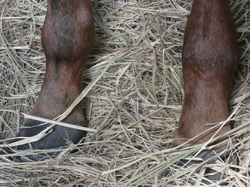 f:id:rockeyhy:20211121103736j:plain:w300