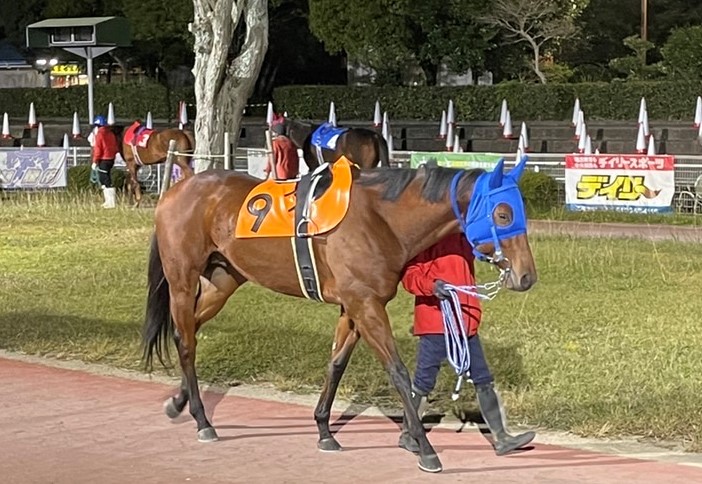 f:id:rockeyhy:20211127233810j:plain:w315