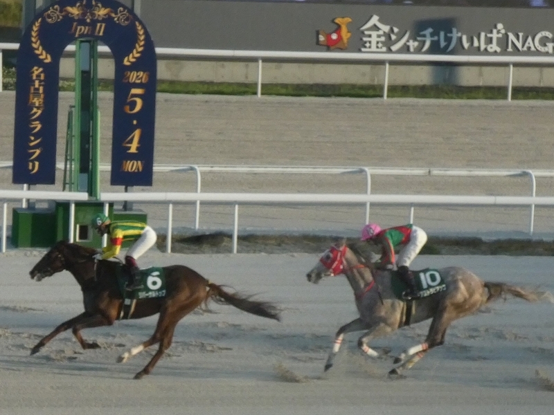 第65回駿蹄賞観戦記（競馬に絶対はない！） - サラリーマン馬主への道