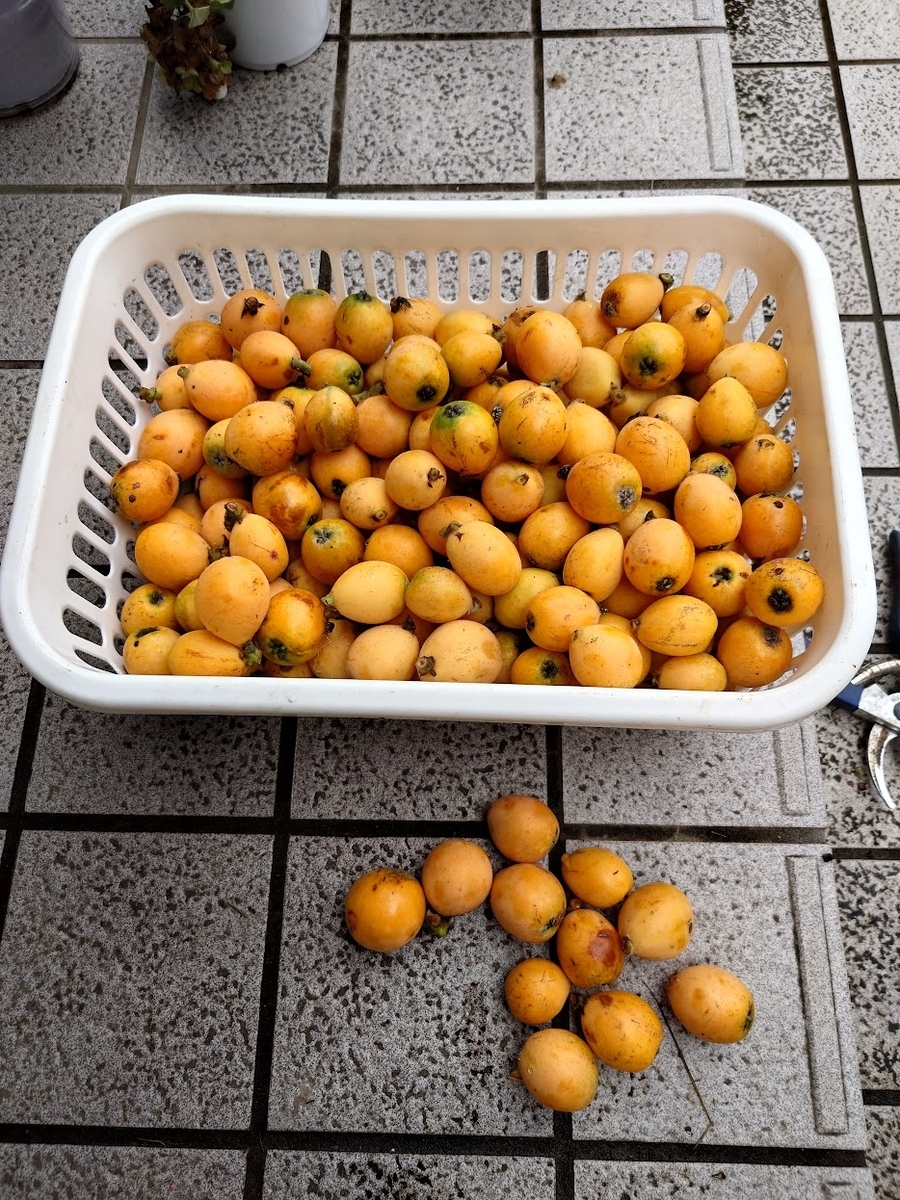 今週末の成果 - 田舎おやじの言動log
