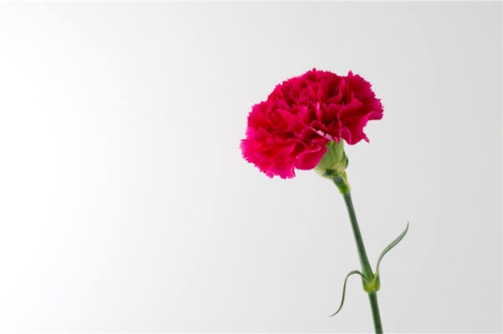 f:id:rockinonman:20190512135343j:image f:id:rockinonman:20190512135343j:image