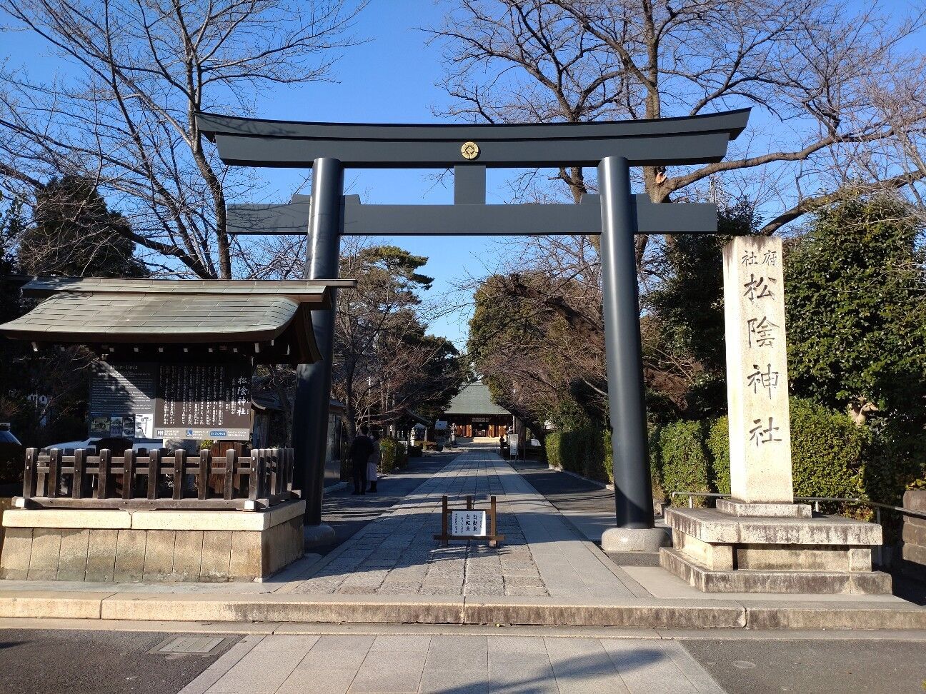 f:id:rockmansion:20230307195730j:image