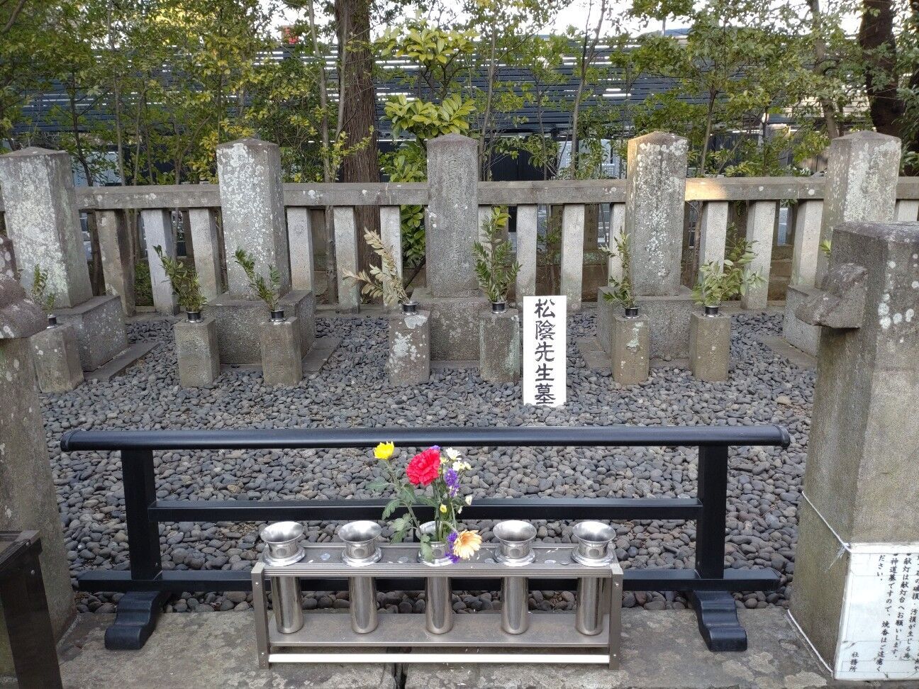 f:id:rockmansion:20230307195838j:image