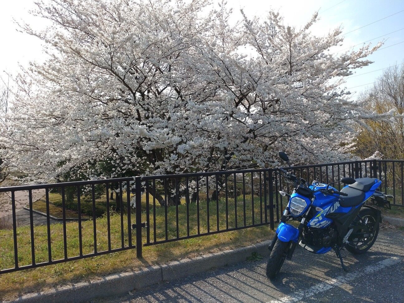 f:id:rockmansion:20230425094908j:image
