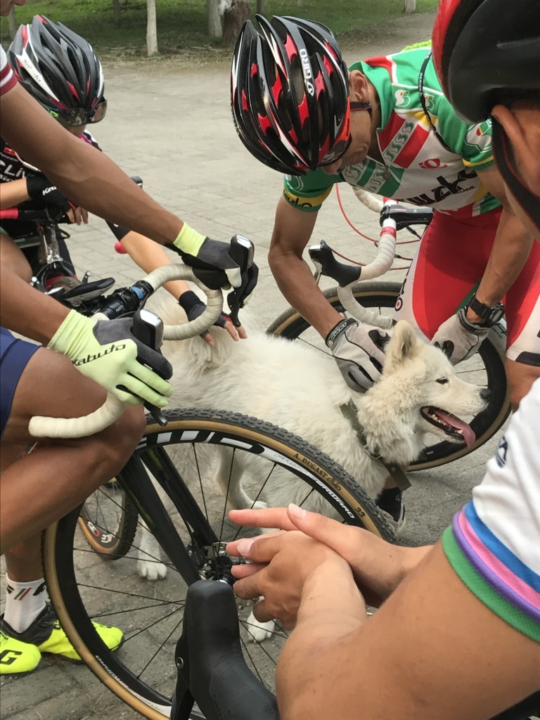 f:id:rockmutsumi:20170904170236j:plain f:id:rockmutsumi:20170904170236j:plain