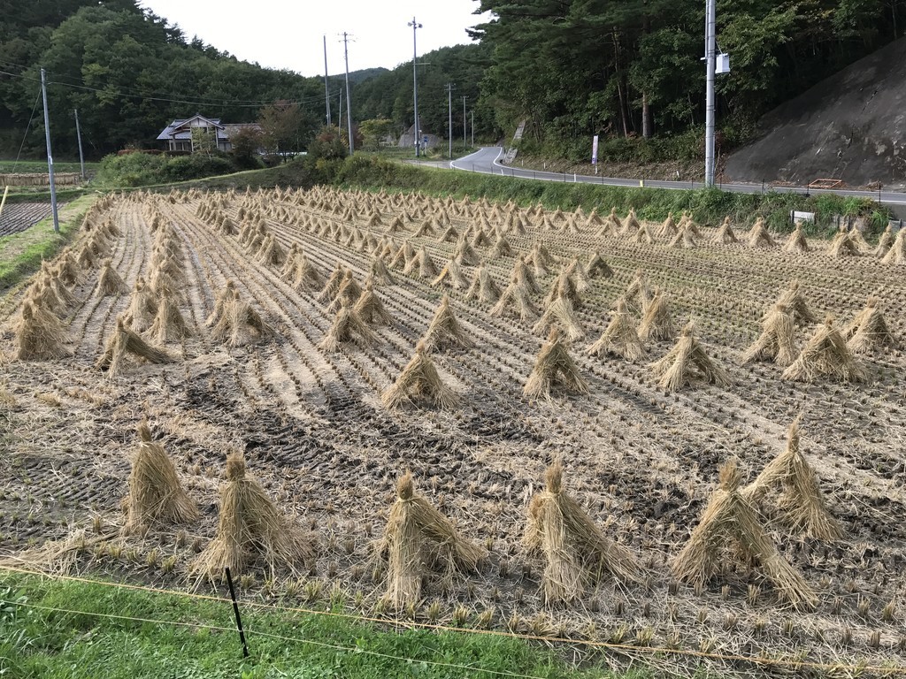 f:id:rockmutsumi:20181013151418j:plain