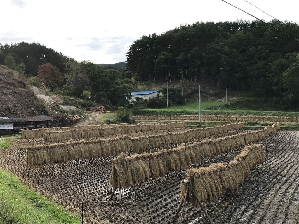 f:id:rockmutsumi:20181013151441j:plain