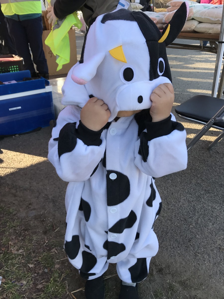 f:id:rockmutsumi:20190224153045j:plain f:id:rockmutsumi:20190224153045j:plain