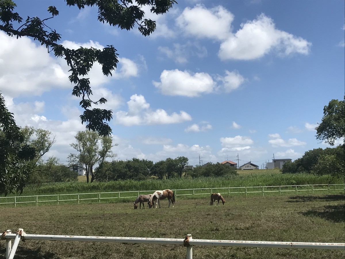 f:id:rockmutsumi:20200803181508j:plain