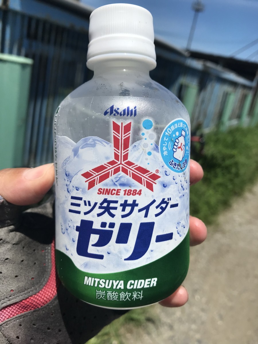 f:id:rockmutsumi:20200803181916j:plain