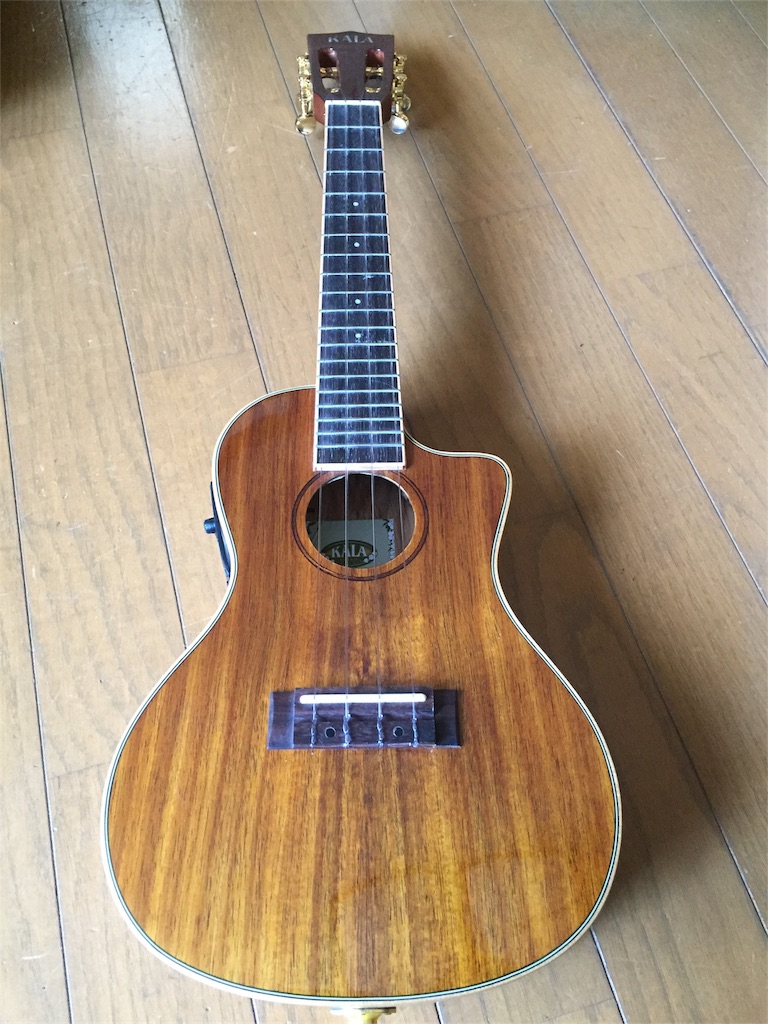 f:id:rockn-guitar:20170125234854j:image f:id:rockn-guitar:20170125234854j:image