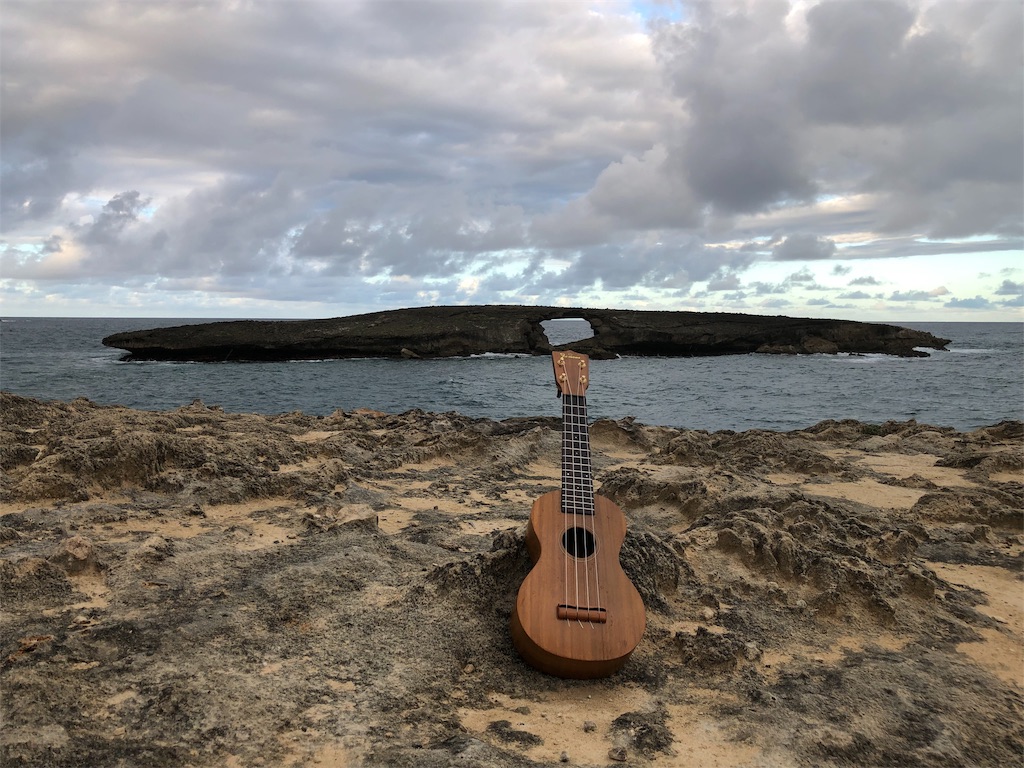 f:id:rockn-guitar:20181120151852j:image f:id:rockn-guitar:20181120151852j:image