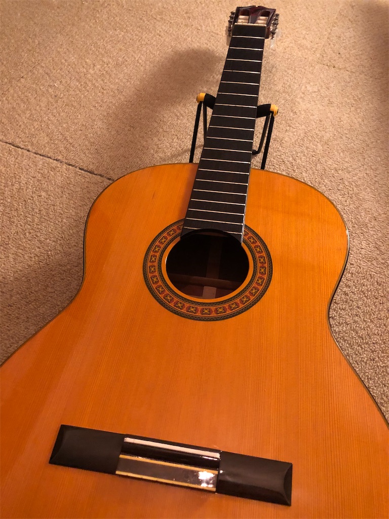 EL DEGAS アコースティックギター Lot 489 - Vintage El Degas 300 Acoustic Guitar | Premier