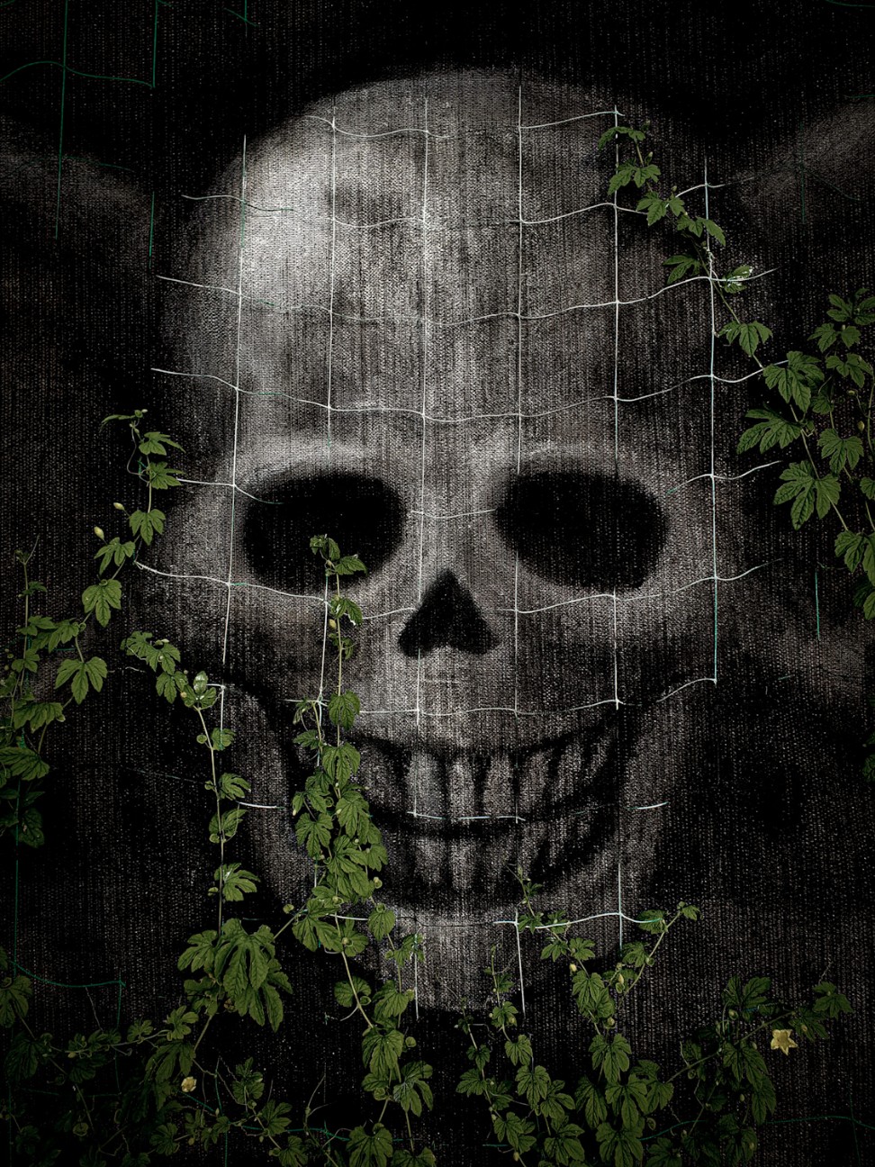 f:id:rocknrollrecord:20260721185338j:image