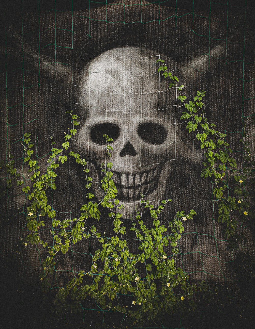f:id:rocknrollrecord:20260721185408j:image
