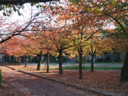 f:id:rockychack:20081112140016j:image