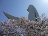 f:id:rockychack:20100408110539j:image