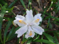 f:id:rockychack:20100408121248j:image