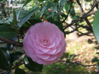 f:id:rockychack:20100408122926j:image
