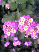f:id:rockychack:20101017234431j:image