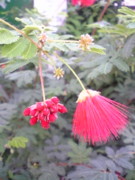 f:id:rockychack:20101017234432j:image